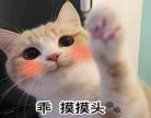 喜欢一个人就想有身体接触