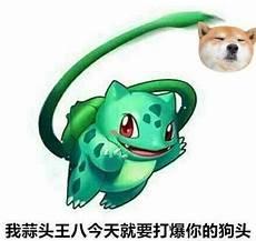 妙蛙种子表情包带字