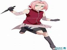 火影忍者本来子小樱