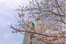 复旦大学经院ppt背景模板