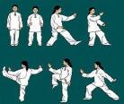 太极拳24式教学图解