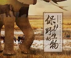 保护野生动物的儿童故事