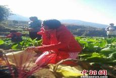 钱仁凤案真凶最新情况