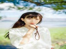 菊花优美短句