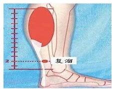 网络溜溜梅什么意思