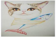 油性彩铅画猫咪教程图解