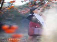 我的家乡春夏秋冬400字