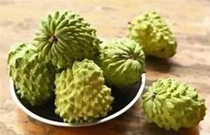 释迦摩尼果的功效
