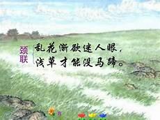 浅草才能没马蹄比喻什么