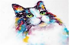 水彩猫画猫