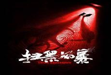 扫黑风暴内容