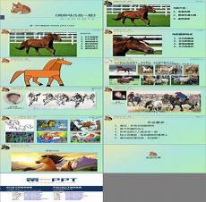 [综]我的马甲哪里不对